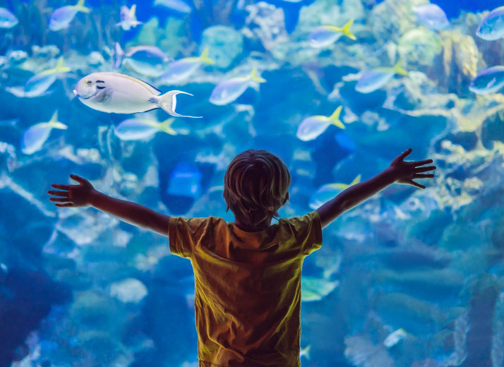 media.Gallery-Acquario-Hotel-Giovanna-Regina-Gabicce