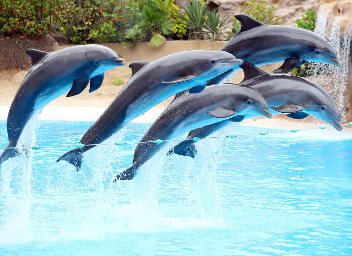 media.Gallery-Oltremare-Hotel-Giovanna-Regina-Gabicce