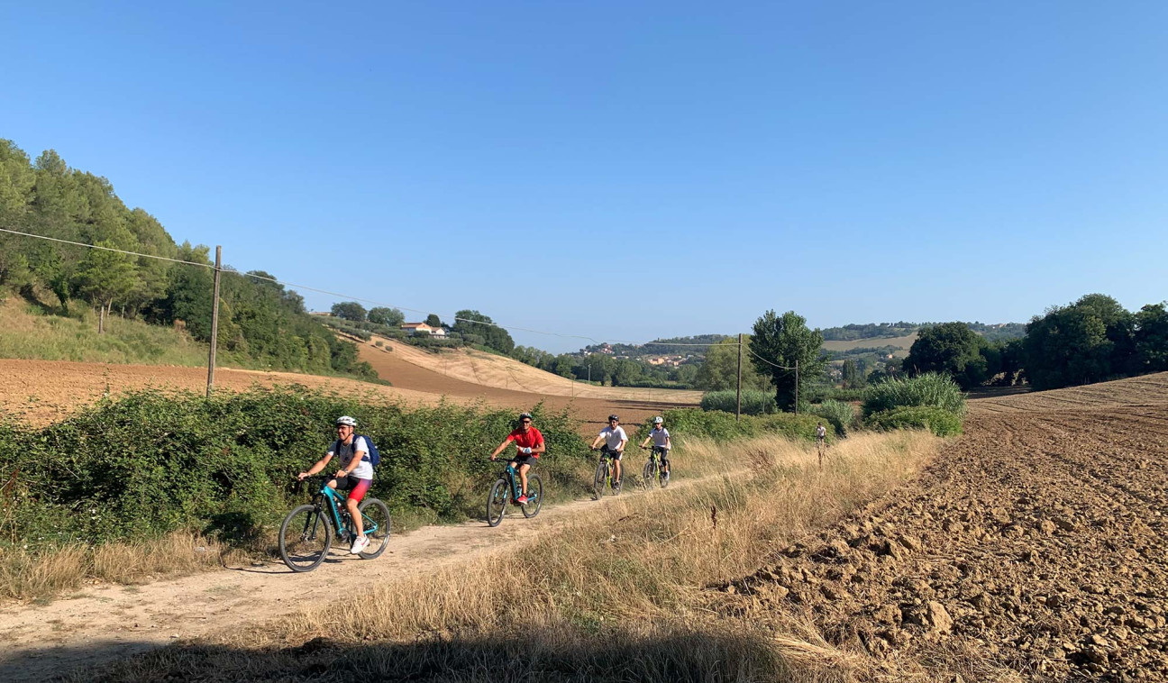 media.e-bike_IMG_3211